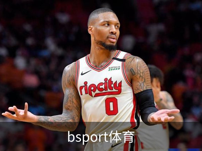 了解bsport体育